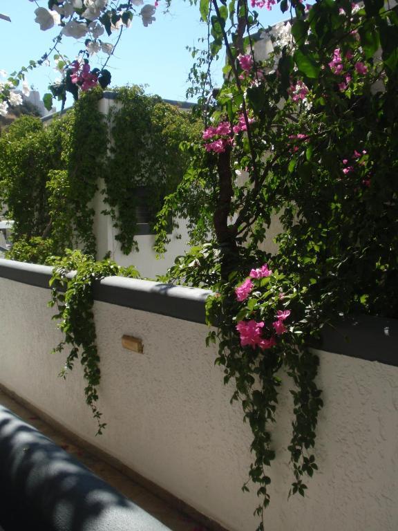Fevro Hotel Agia Galini Cameră foto