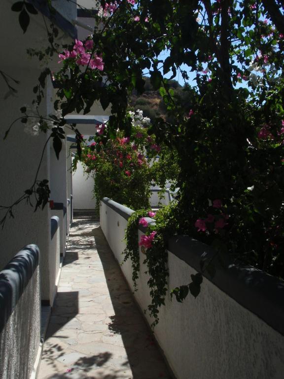Fevro Hotel Agia Galini Cameră foto